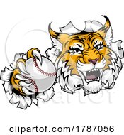 Poster, Art Print Of Wildcat Bobcat Baseball Ball Animal Team Mascot