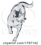 Poster, Art Print Of Siberian Husky Running Front View High Angle Retro Woodcut Style