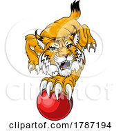 Wildcat Bobcat Cricket Ball Animal Team Mascot