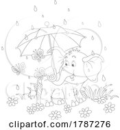 Black And White Baby Elephant With Butterflies And An Umbrella
