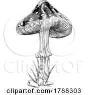 Poster, Art Print Of Mushroom Toadstool Fungus Vintage Engraved Woodcut