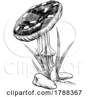 Poster, Art Print Of Mushroom Toadstool Fungus Vintage Engraved Woodcut