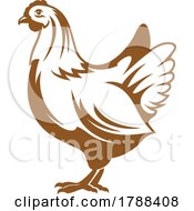 Hen by Vector Tradition SM