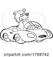 Poster, Art Print Of Cartoon Black And White Bear Diving A Convertible Sports Car