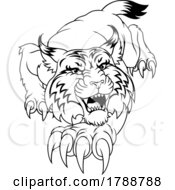 Poster, Art Print Of Wildcat Angry Wildcats Team Sports Mascot Roaring