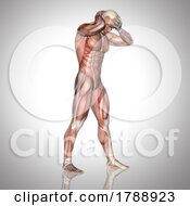 Poster, Art Print Of 3d Male Figure With Muscle Map Holding Head