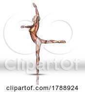 3D Female Figure With Muscle Map Texture In Ballet Pose