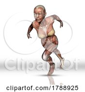 Poster, Art Print Of 3d Female Figure With Muscle Map In Running Pose