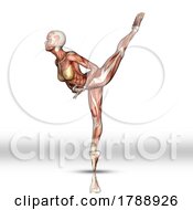3D Female Figure With Muscle Map In Ballet Pose