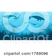 Poster, Art Print Of Silhouetted Sea Creatures