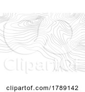 Poster, Art Print Of Topographic Map