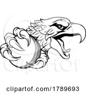 Poster, Art Print Of Eagle Hawk Cricket Ball Cartoon Sports Team Mascot