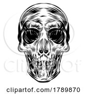 Black And White Sketched Skull by Domenico Condello