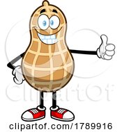 Cartoon Peanut Mascot Character Giving Thumb Up by Hit Toon