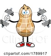 Cartoon Peanut Mascot Character Lifting Weights