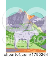 Poster, Art Print Of Mountain Goat Or The Rocky Mountain Goat In Glacier National Park Montana Wpa Poster Art