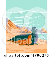 Poster, Art Print Of Northern Elephant Seal At Point Reyes National Seashore Marin County California Wpa Poster Art