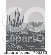 Poster, Art Print Of Organ Pipe Cactus National Monument In Arizona Monoline Line Art Grayscale Drawing