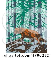 Wolverine In Yellowstone National Park Wyoming WPA Poster Art