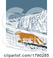 Cougar In Boulder Colorado During Winter Side View Wpa Poster Art