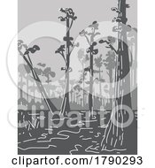 Poster, Art Print Of Everglades National Park In Florida Monoline Line Art Grayscale Drawing