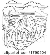 Poster, Art Print Of Sentinel Dome In Yosemite National Park California Monoline Line Art Drawing