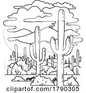 Poster, Art Print Of Saguaro National Park In Southern Arizona Monoline Line Art Drawing