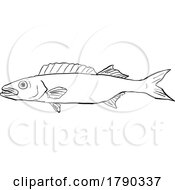 Poster, Art Print Of Oilfish Hawaii Fish Dwg Bw Cut