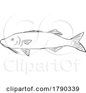03/12/2023 - Moana Kali HAWAII FISH DWG BW CUT
