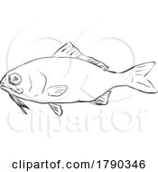 Poster, Art Print Of Beardfish Hawaii Fish Cartoon Drawing Black And White