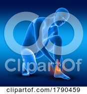 Poster, Art Print Of 3d Male Medical Figure Holding His Ankle In Pain