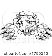Poster, Art Print Of Snarling Tiger Mascot Slashing Through A Wall