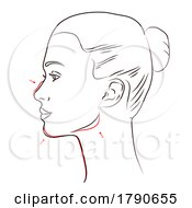 Womans Face Marked Up For Plastic Surgery