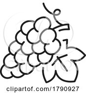 Black And White Grapes