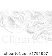 Poster, Art Print Of Topographic Map