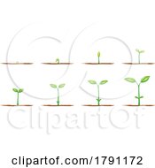 Poster, Art Print Of Seedling Growing