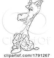 Cartoon Black And White Giraffe Hugging Its Knees And Laughing