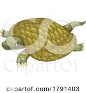 Poster, Art Print Of Henodus Turtle Dinosaur
