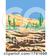 Sonoran Desert National Monument Arizona During Summer WPA Poster Art