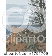 Poster, Art Print Of Point Pelee National Park In Essex County Ontario Canada Wpa Poster Art