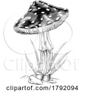Mushroom Toadstool Fungus Vintage Engraved Woodcut