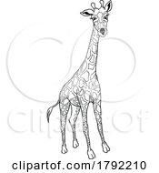 Poster, Art Print Of Cartoon Black And White Giraffe