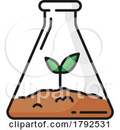 Plant Growing In A Bottle