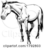 Poster, Art Print Of Cartoon Grayscale Horse