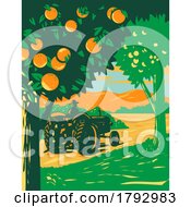 Poster, Art Print Of Orange Grove In Central Florida With Farmer Driving Vintage Tractor Wpa Art Deco Poster