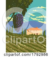 Poster, Art Print Of Grape Vine And Vineyard In Tuscany Countryside Central Italy Wpa Art Deco Poster
