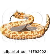 Western Diamondback Rattlesnake ICurled Up WPA Poster Art