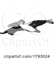 Poster, Art Print Of California Brown Pelican Or Pelecanus Occidentalis Californicus Flying High Retro Woodcut Black And White