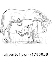 Female Farrier Placing Horseshoe On Horse Hoof Side View Comics Style Drawing