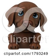 Chocolate Labrador Puppy Dog 3d On A Shaded White Background